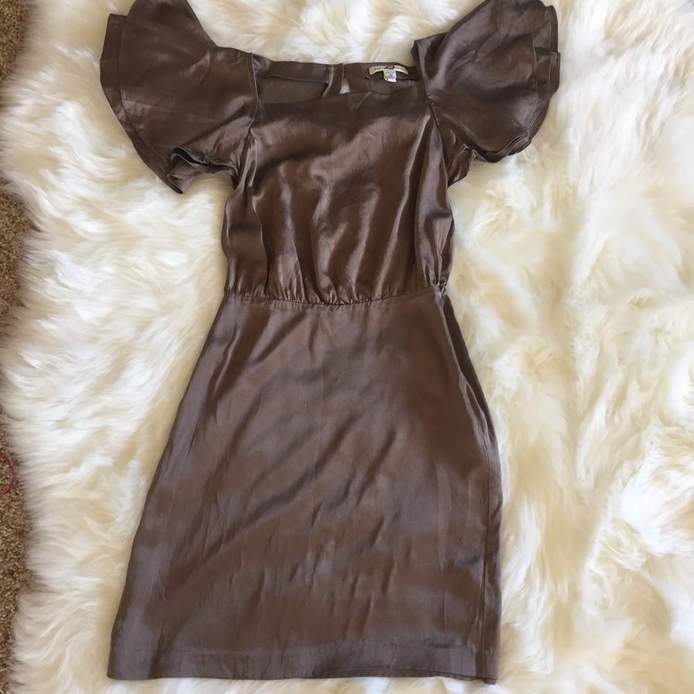 Banana Republic Brown Silk Dress 0 Petite